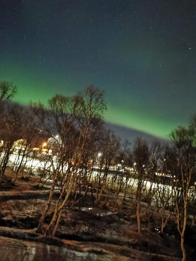 Aurora Rooms In Shared Hsuse Nr3 We Are Doing Northen Lights Trip, Reaindear Trip And Sommaroy Fjord Trips 特罗姆瑟 外观 照片